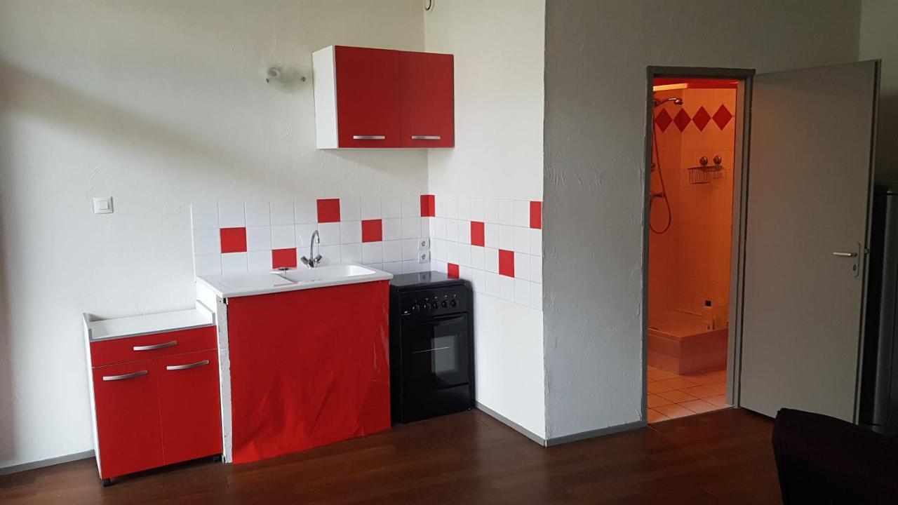 Grand Studio Et Jolies Chambres A Louer Passins Bagian luar foto